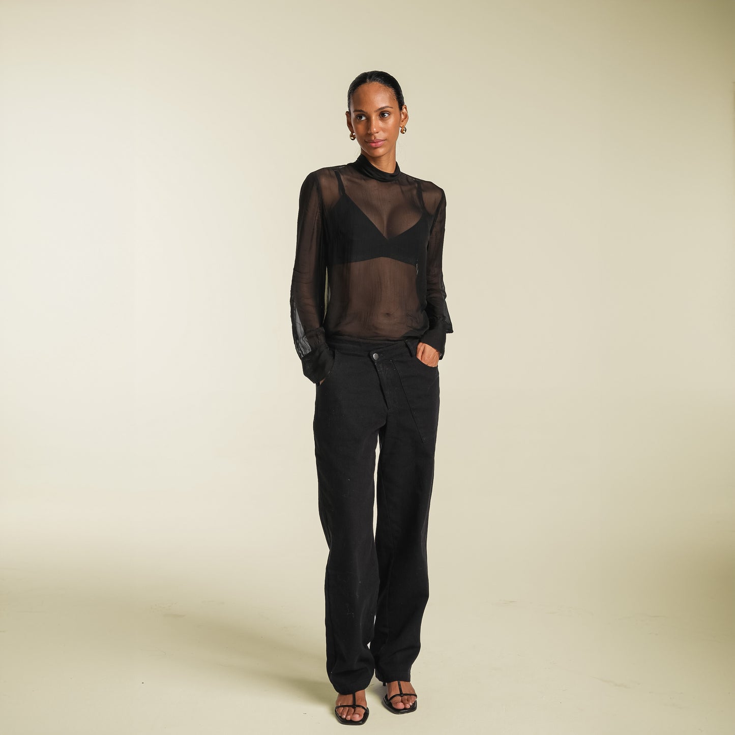 Sophia Mesh Long Sleeve Turtleneck